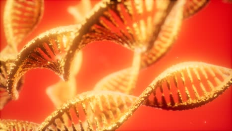 Struktur-Der-DNA-Doppelhelix-Animation